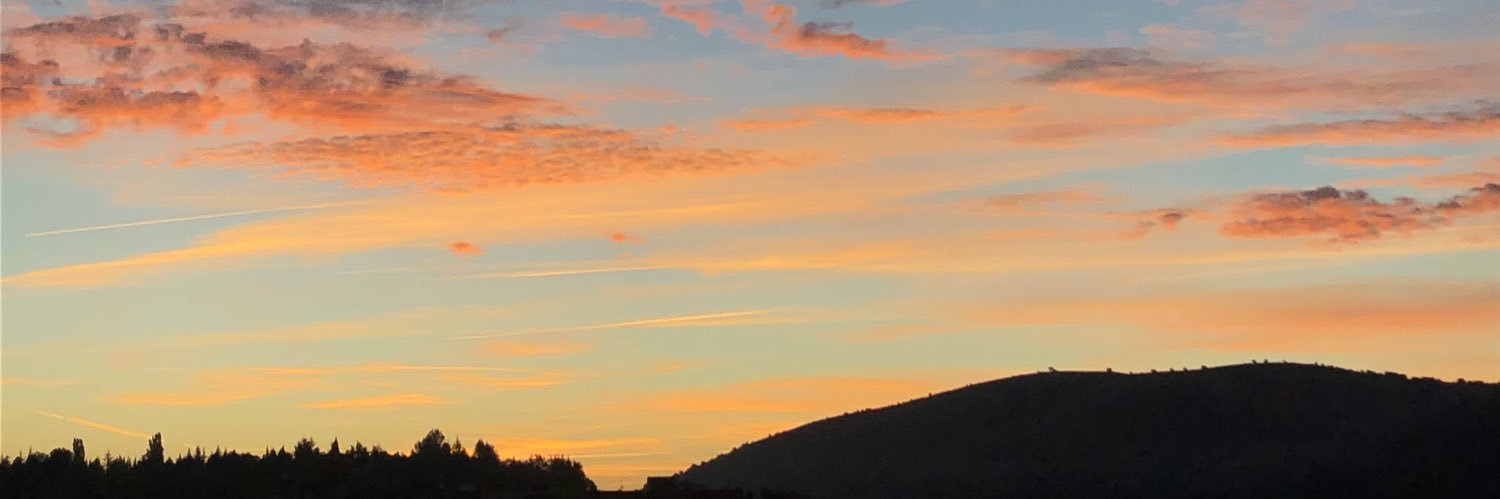 Gadea Gonzalez banner