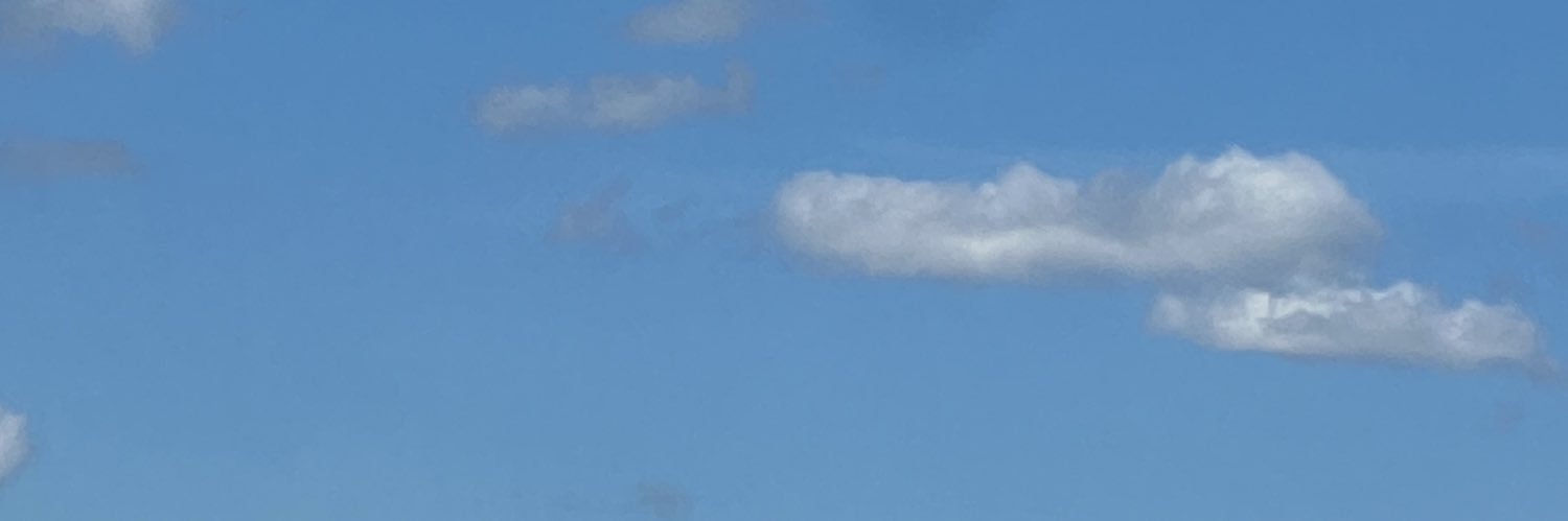 maddemisongi's profile banner image