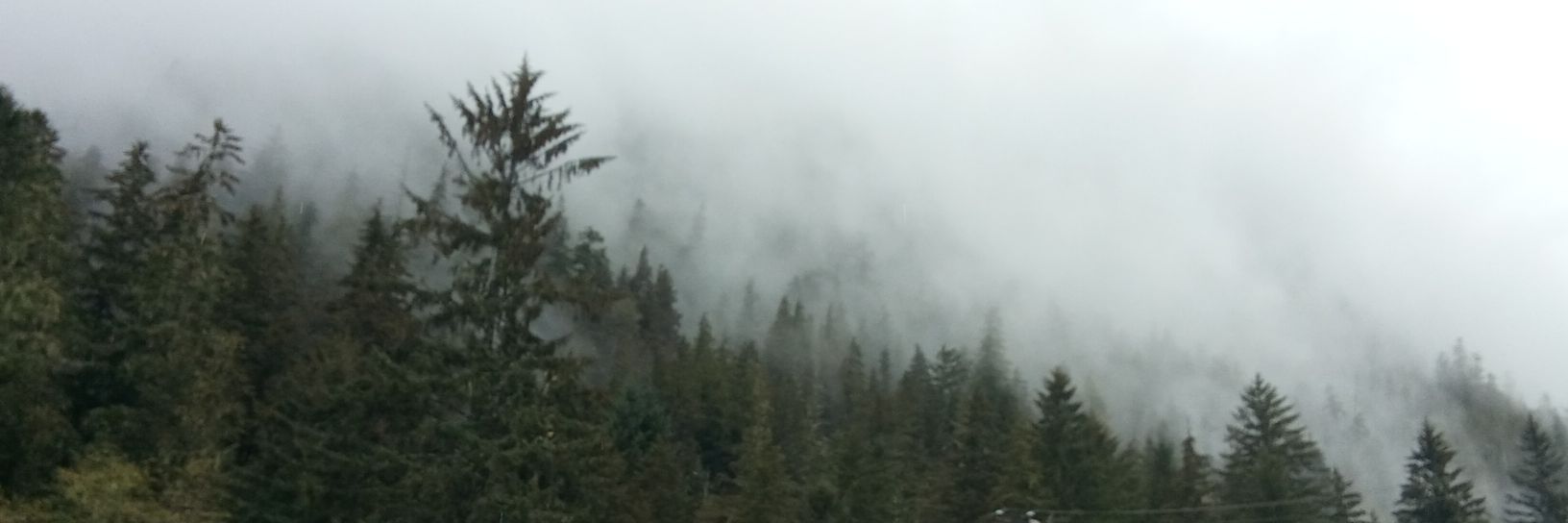 AlexandreStones's profile banner image