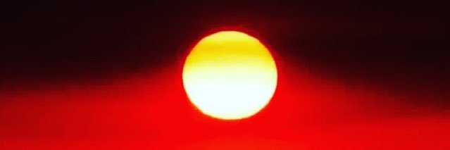 Antoinette Braybrook AM banner