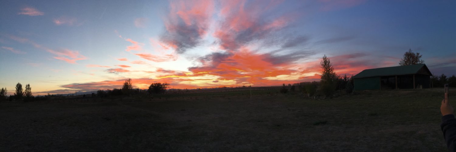 zman553's profile banner image