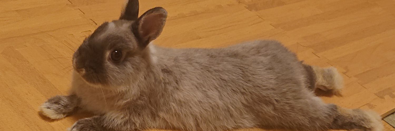 y_d_i_k's profile banner image