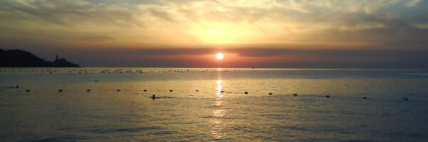 pirolini Profile Banner