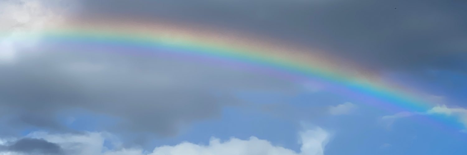 キヨ☆まぐろ丼 banner