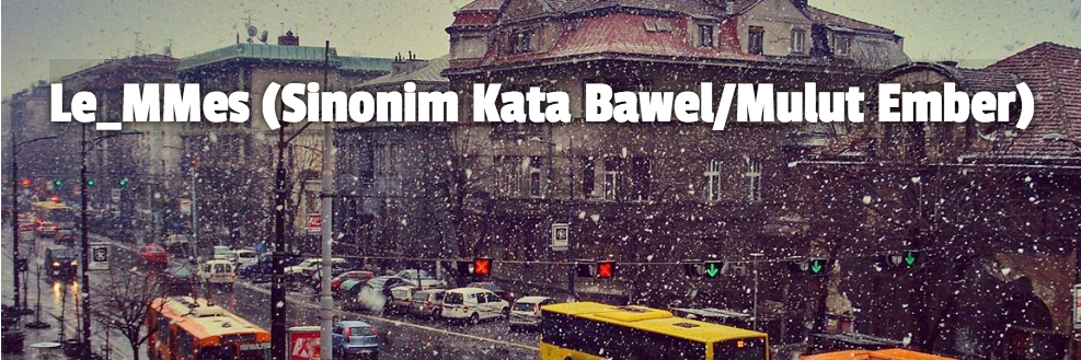 Le'Mmes フラットシューズ™ banner