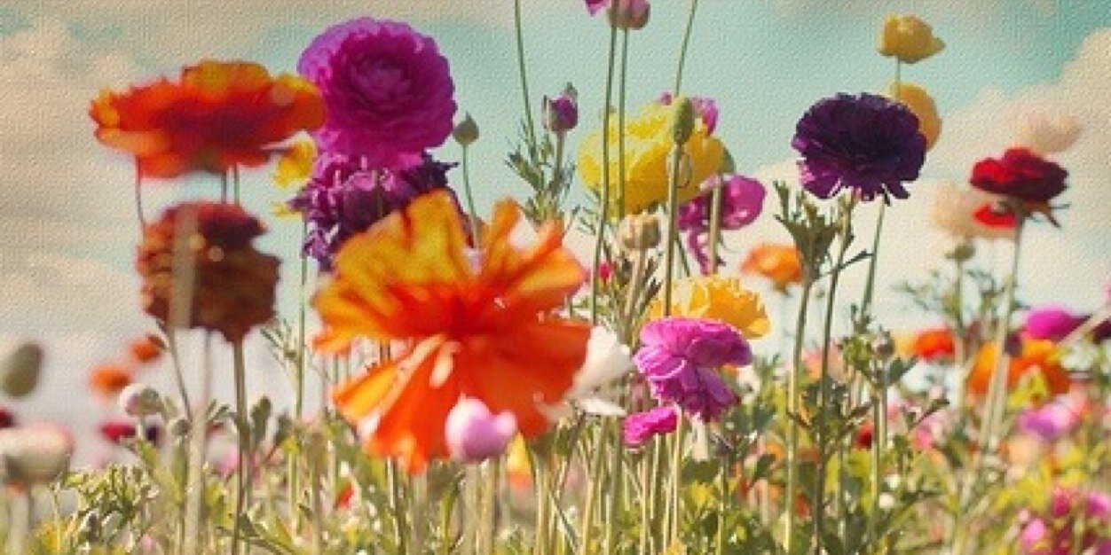miriam_keith's profile banner image