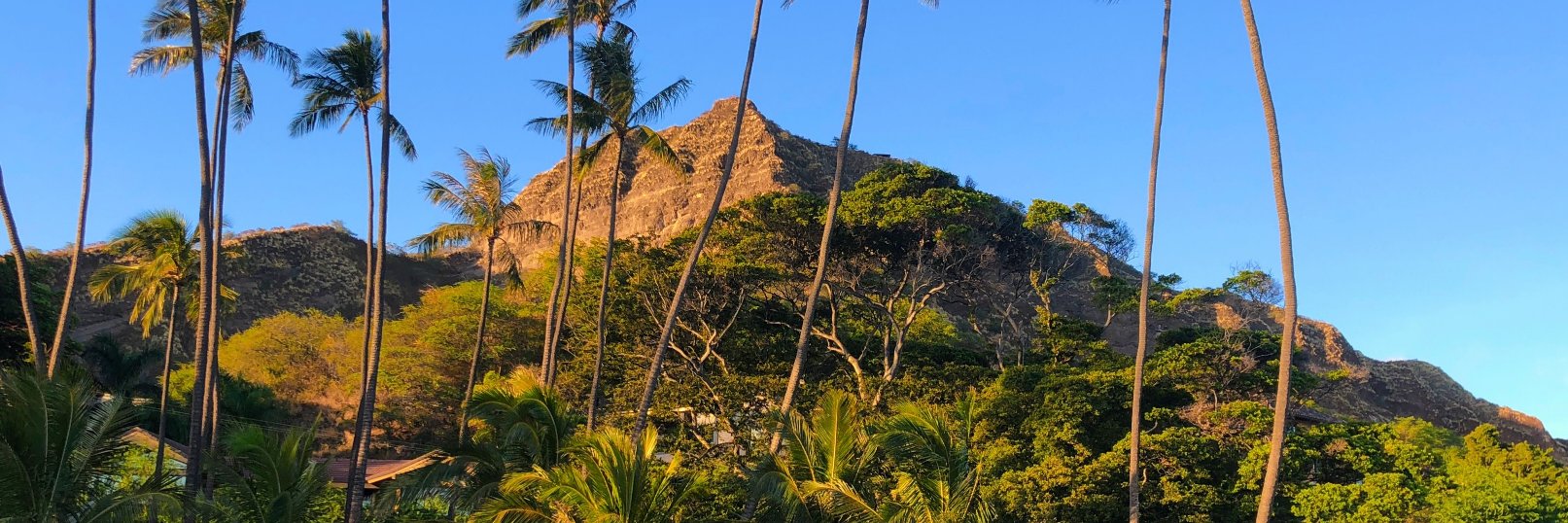 ハッチャン：ランニングアドバイザー banner