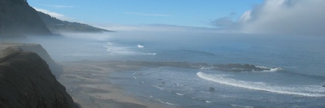 Michele Goetz banner