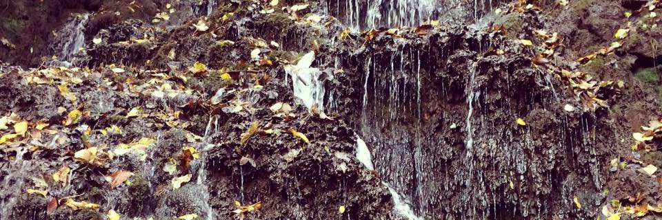 ElliottStoneham's profile banner image