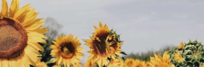 kaylamhooks's profile banner image