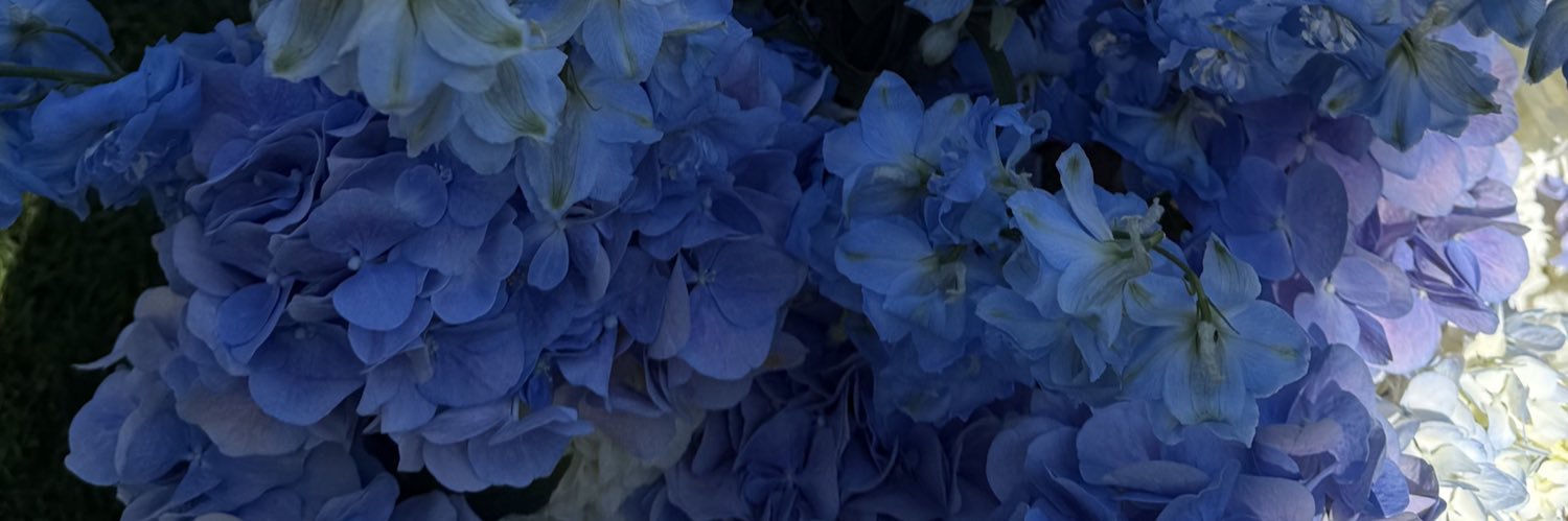 moriah_kl's profile banner image