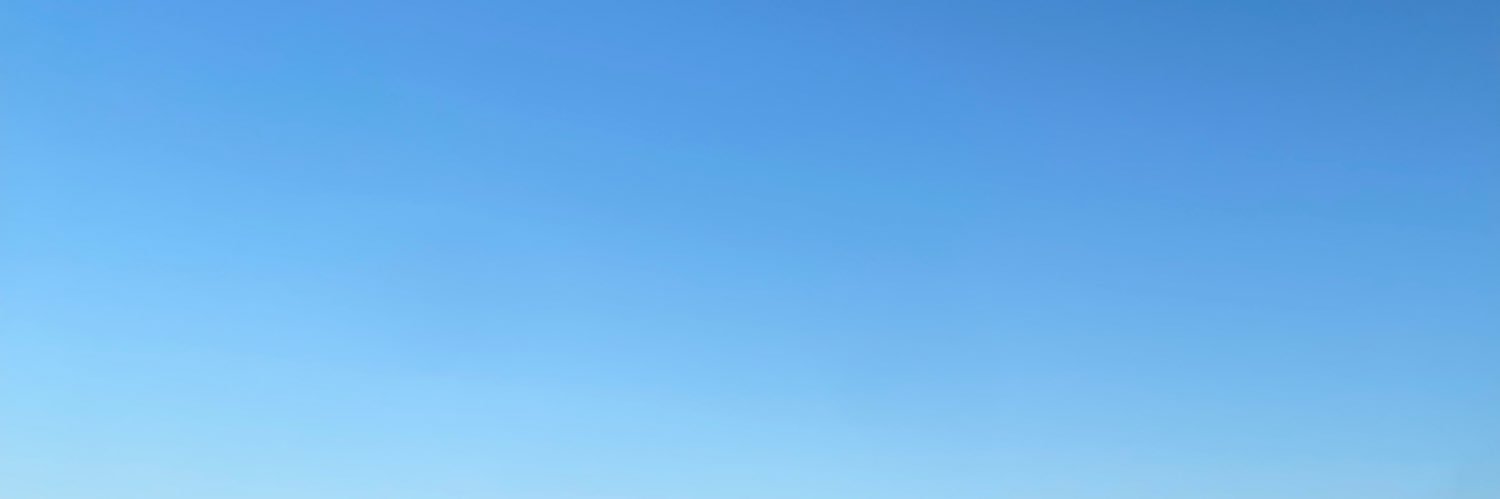Dl banner