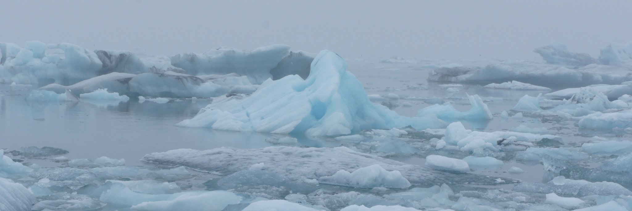 Jennifer Ludden banner