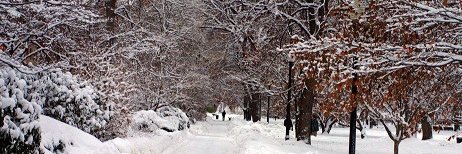 Mass Civil Service banner