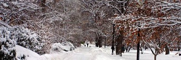 MACivilService Profile Banner