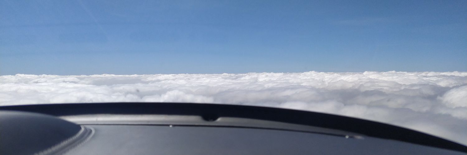 Pititico Galinho Chicken Little do Rafinha Nemin banner