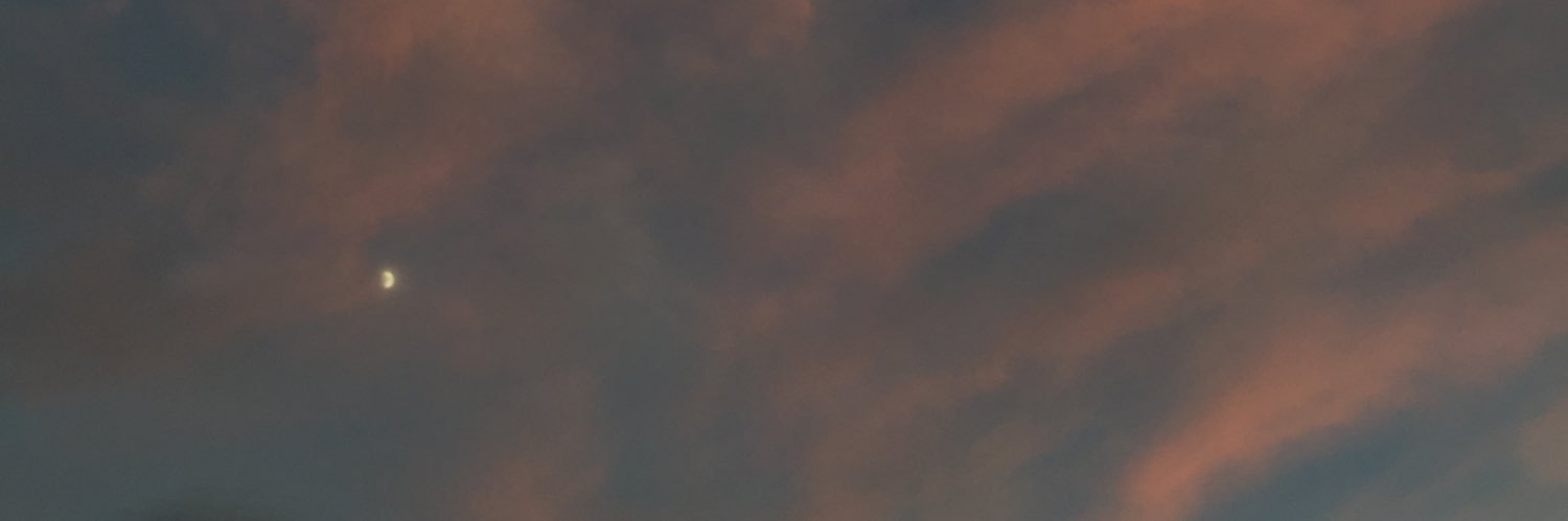 Laura_Busnel's profile banner image