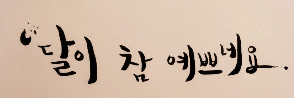 적시 공주 banner