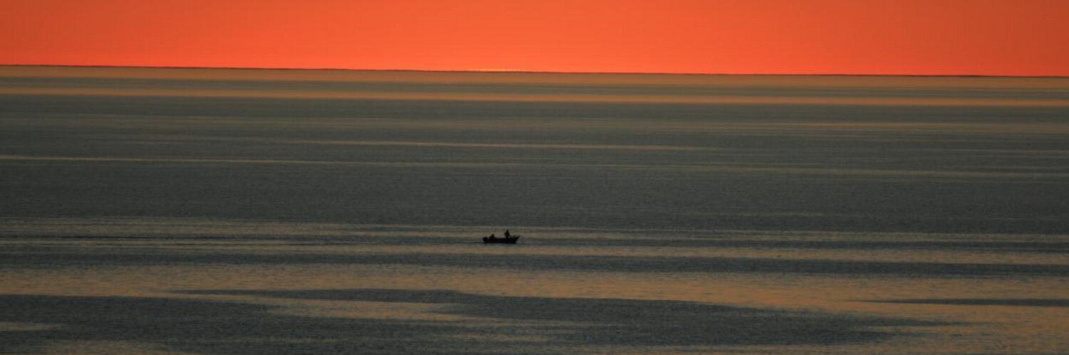 Damien Lawson banner