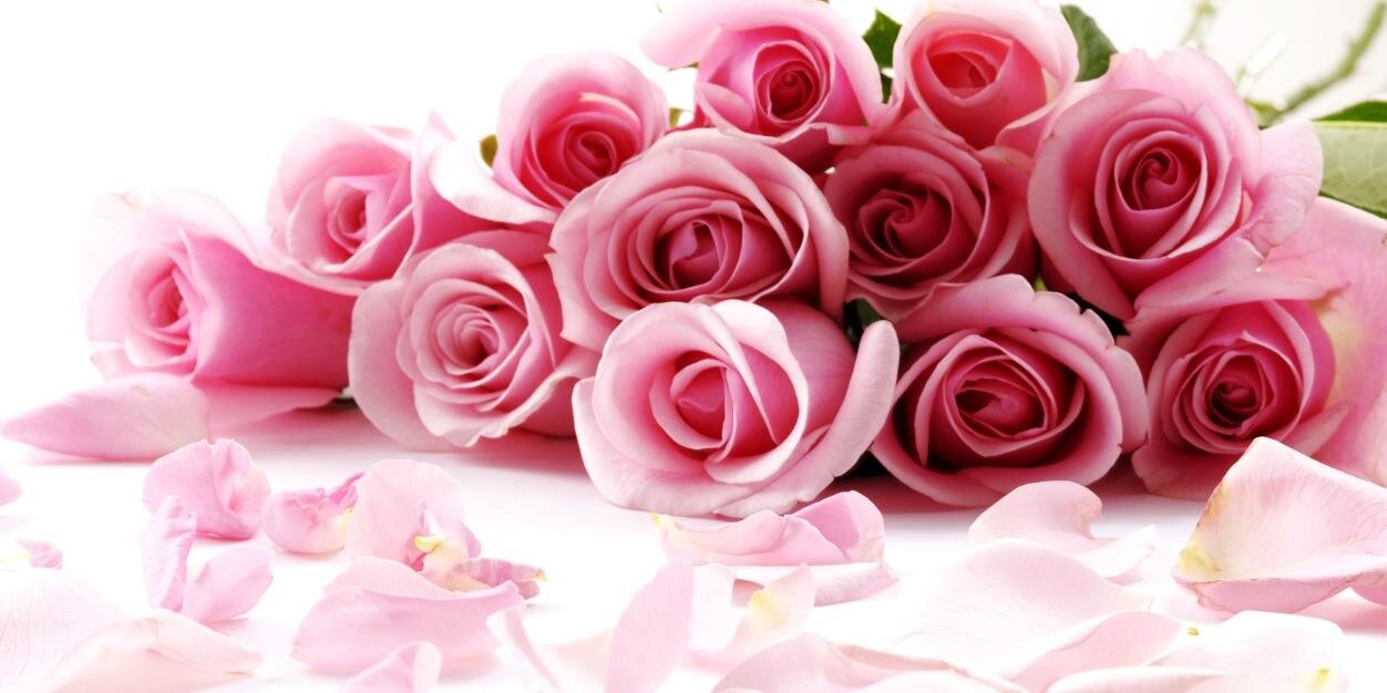 School_Florist's profile banner image
