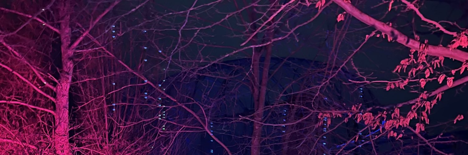 DasMariee's profile banner image