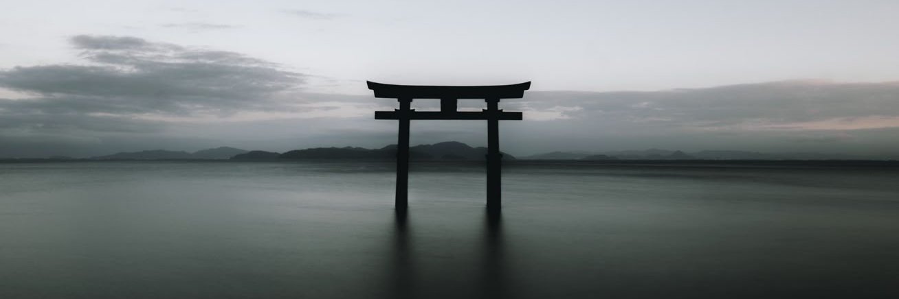 wyuzing's profile banner image