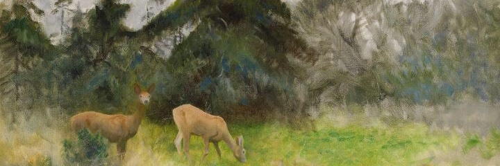 PseudoSocratics's profile banner image