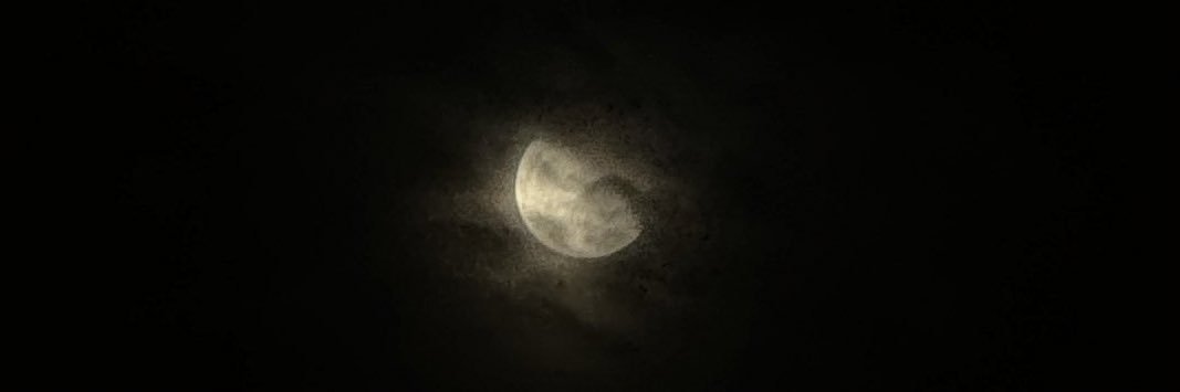 leximar333's profile banner image