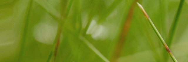 deryabaloglu's profile banner image