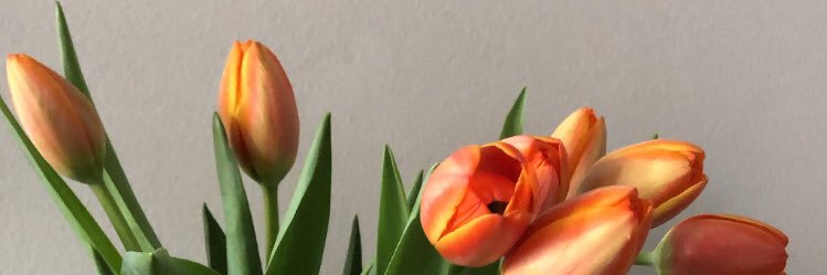 KatMok's profile banner image