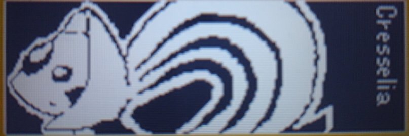 Coo banner