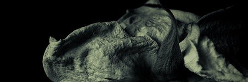 britbreanne's profile banner image