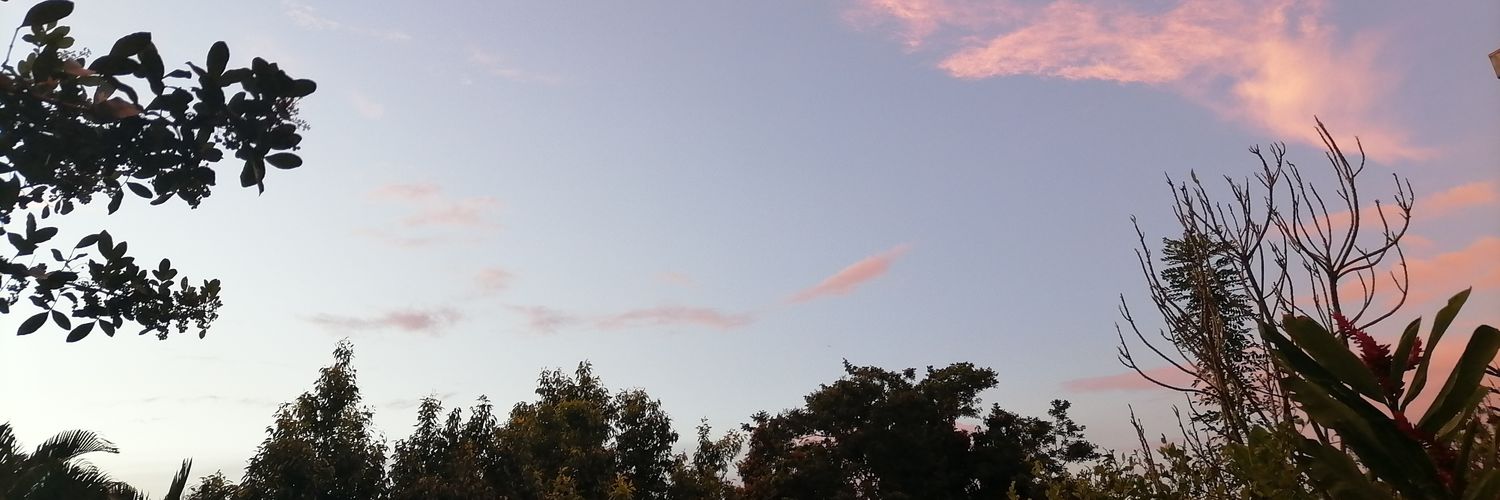 UGamero4's profile banner image