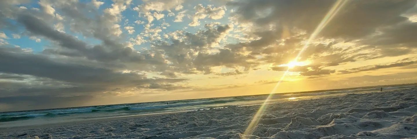 siluly_'s profile banner image