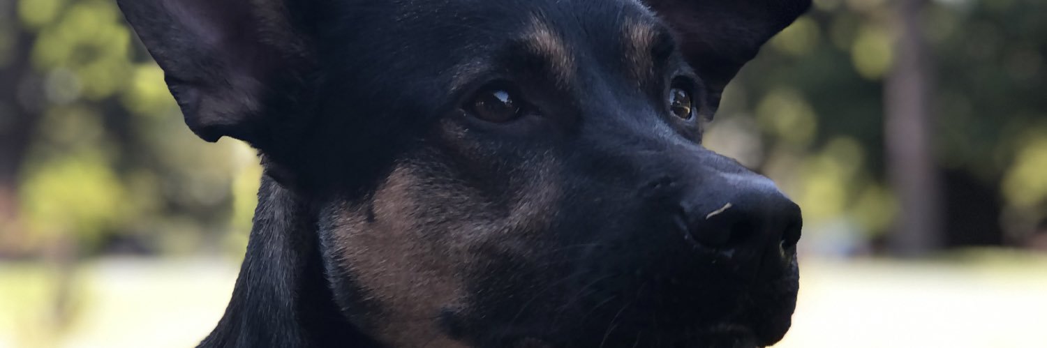 NicoAriasRC's profile banner image