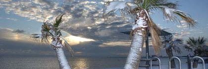 Rev. Dr. Ruth Shaver banner