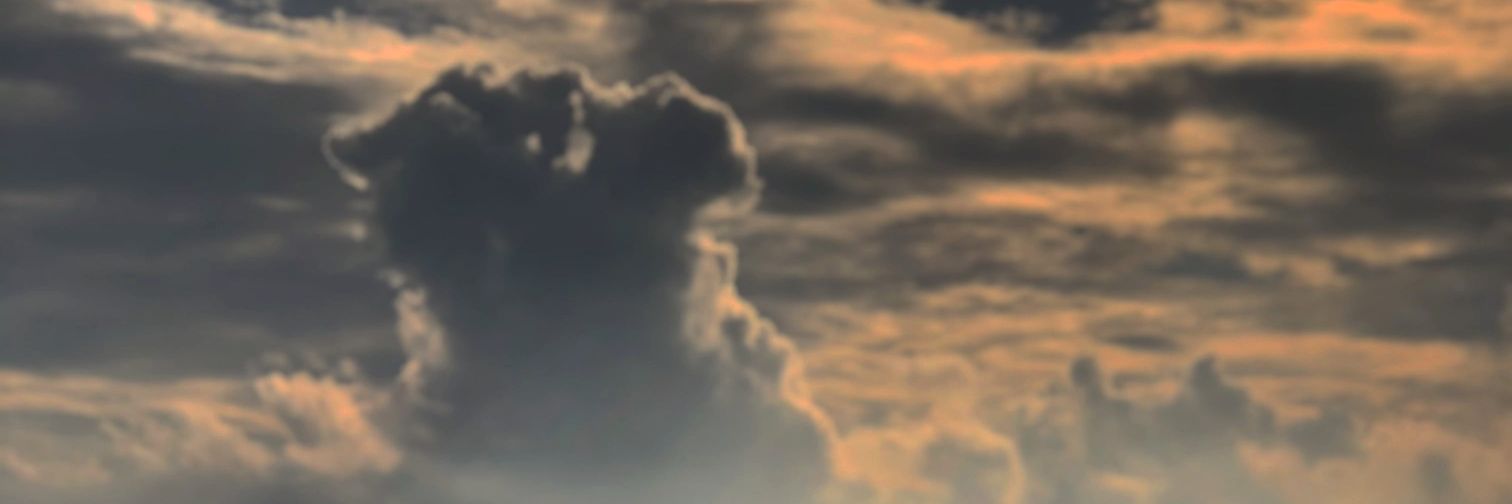 dollyalfedo_'s profile banner image
