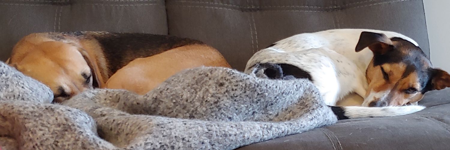 floodieuc's profile banner image