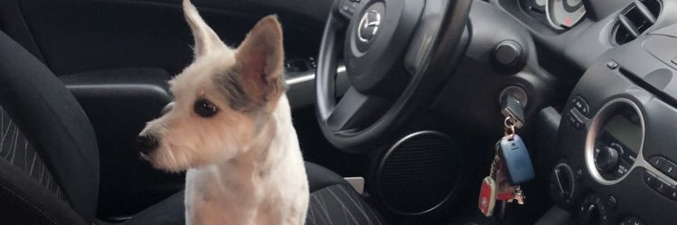 Clarafreiss's profile banner image