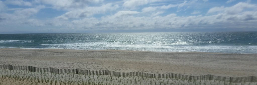 Jennifer Hickey banner