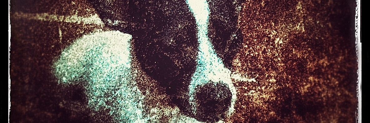 Ayullabrosa's profile banner image