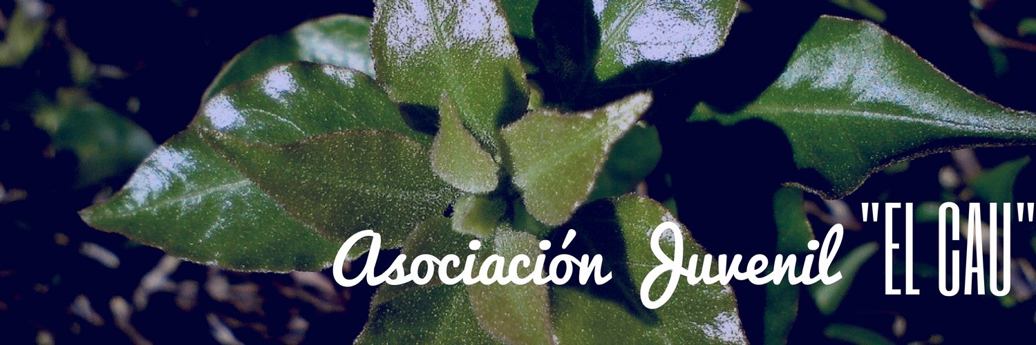 ajelcau's profile banner image