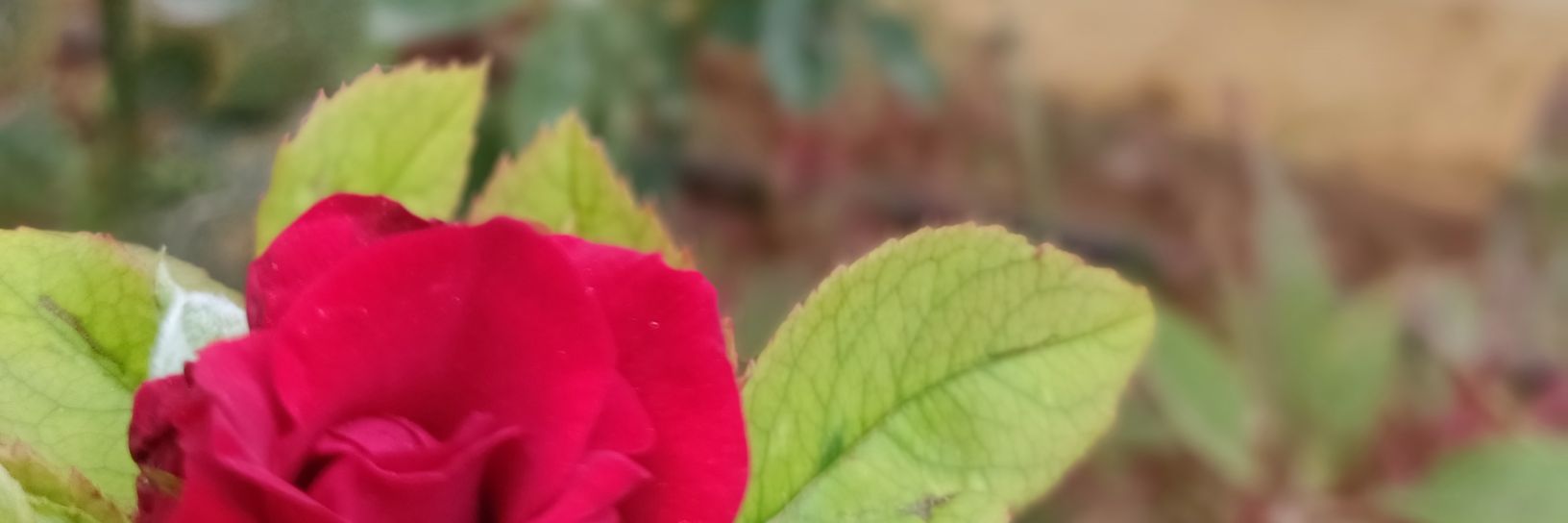 KathirAvatar's profile banner image