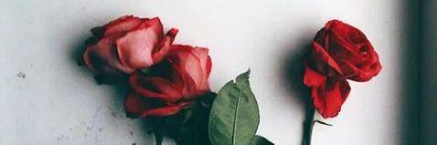 motidirectioner's profile banner image
