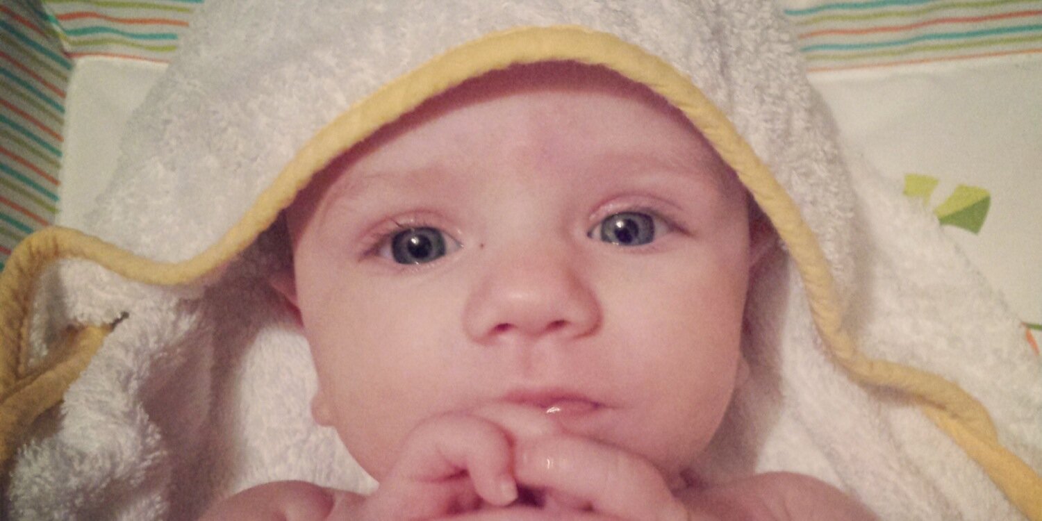 sally barbour banner