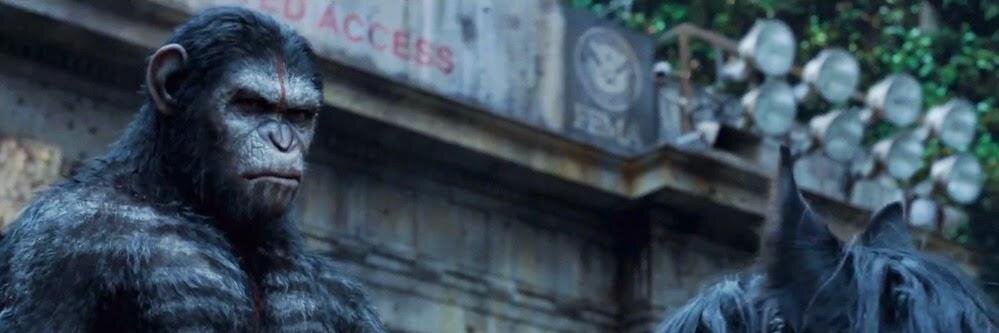 Fox Latinoamérica banner