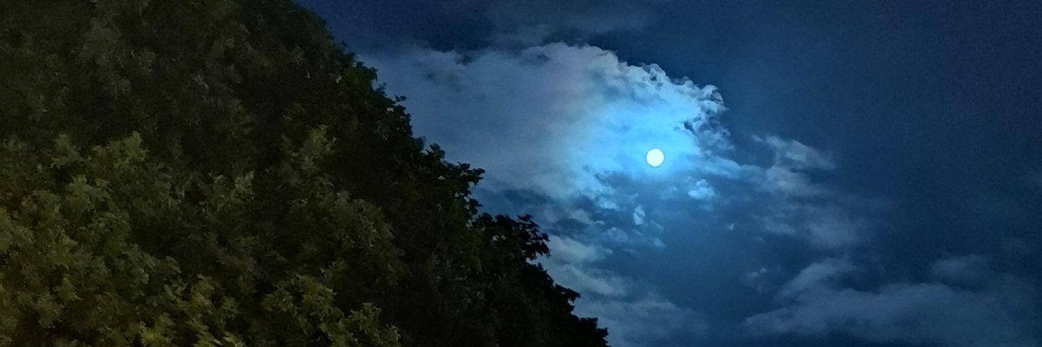 PedroJosse's profile banner image