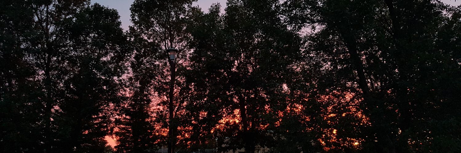 skstorms's profile banner image
