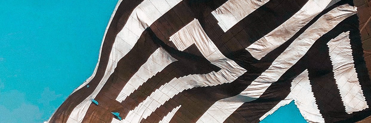 TiaguinhoBFR's profile banner image