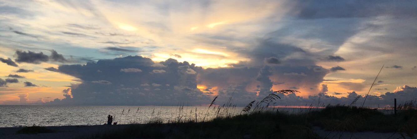 Madi_Oplinger's profile banner image